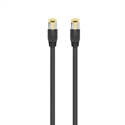 Ewent IM1194 - Cable Ethernet de alta velocidadEl cable ethernet Cat 8.1 admite un ancho de banda de hast