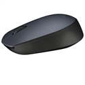 Logitech 910-004642 - Logitech M170 - Ratón - inalámbrico - 2.4 GHz - receptor inalámbrico USB