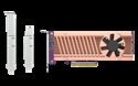 Qnap QM2-2P-384A - 