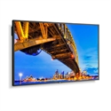 Sharp 60006083 - NEC MultiSync M431-2. Diseño de producto: Diseño de quiosco. Diagonal de la pantalla: 109,